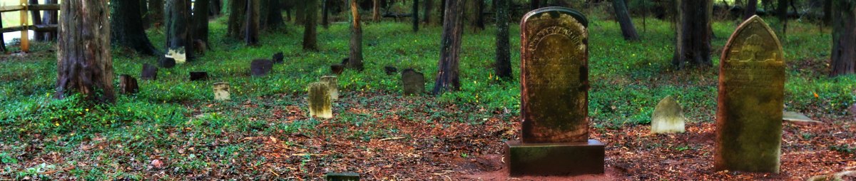 Cemetery with headstones