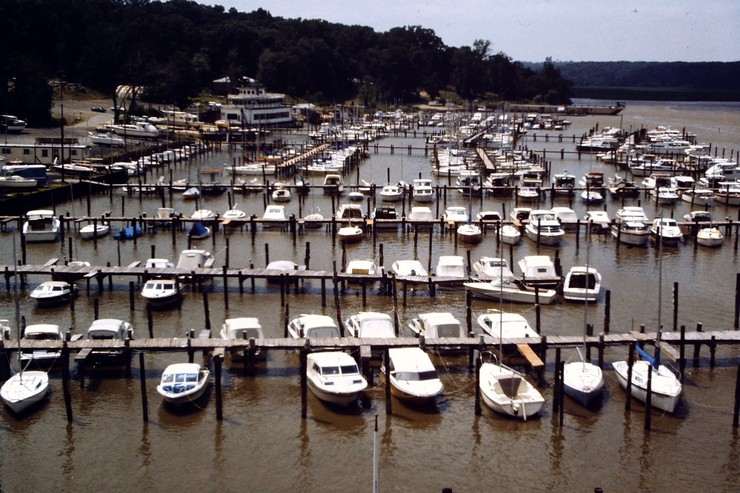 Boats at marina